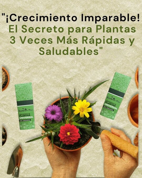 Tonificador de Plantas