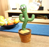 Cactus Bailarín