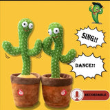 Cactus Bailarín